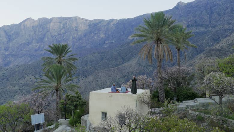 "كأنّك في حلم".. مشهد إفطار رمضاني بين زهور المشمش في سلطنة عُمان