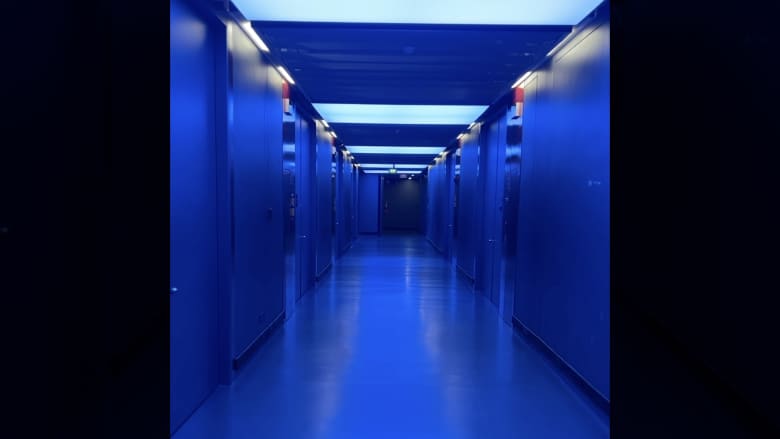 سبائك ذهب وأعمال فنية وهيكل ديناصور! داخل الخزنة فائقة السرّية لفاحشي الثراء في آسيا