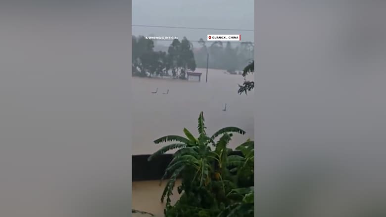 مشهد مرعب.. أكثر من 800 ثعبان بينها أفاعٍ كوبرا سامة تهرب وسط فيضانات الصين