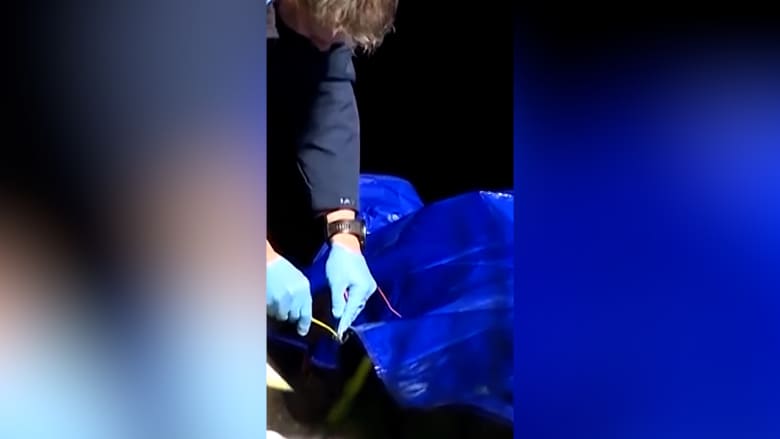 اعتقدوا أنها بقايا بشرية.. إيقاف التحقيق في جريمة قتل بعدما تبيّن أن "الجثة" دمية