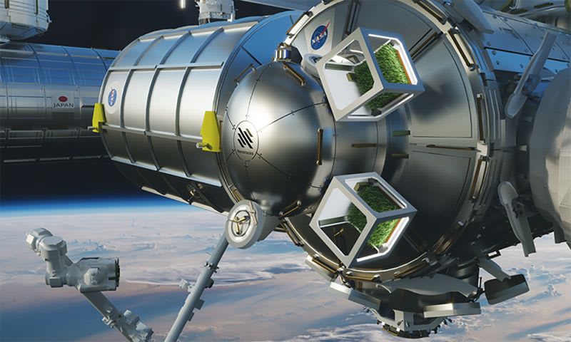 شركة ناشئة في أبوظبي تخطط إرسال بذور الكينوا إلى الفضاء.. لماذا؟