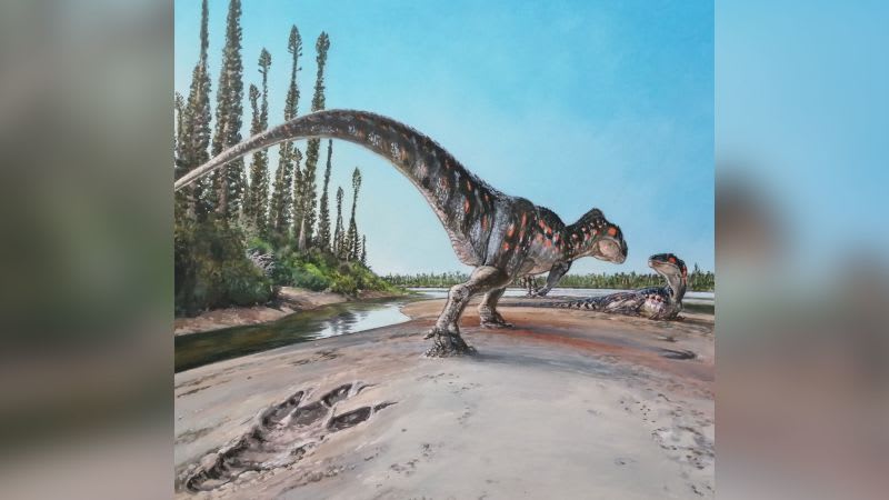 في "ساحل الديناصورات" بالمملكة المتحدة.. العثور على بصمة غير مسبوقة تركها مخلوق ضخم 