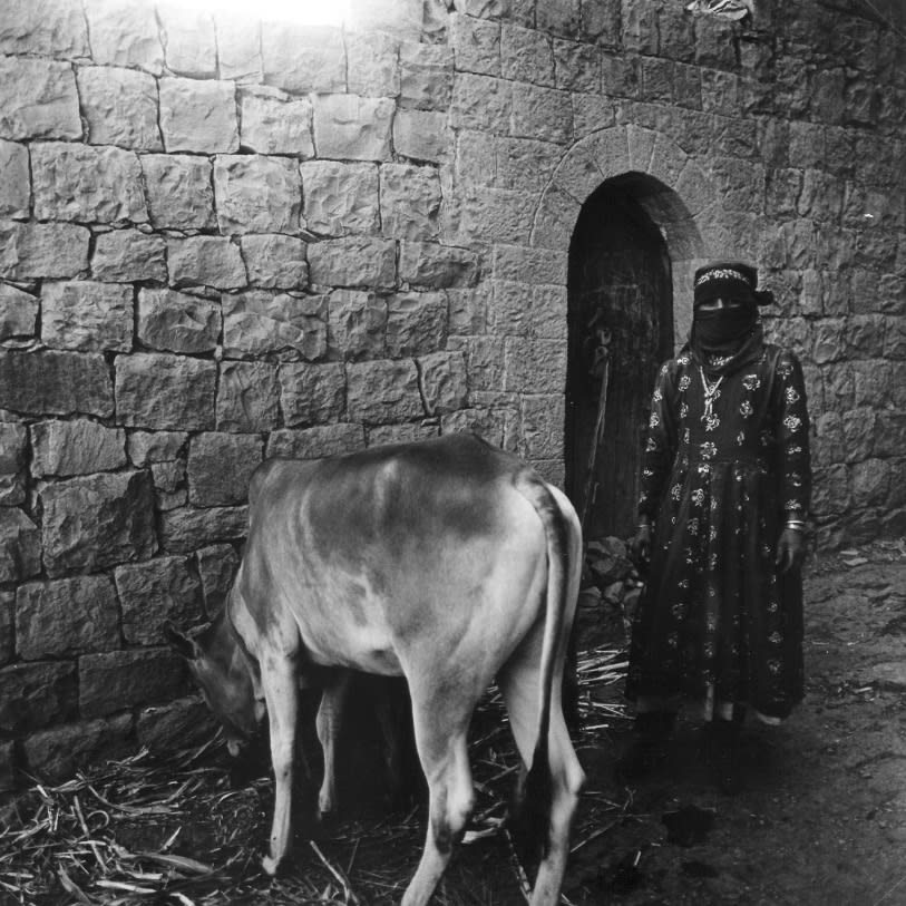 بهجة رمضان في اليمن.. من عيون مصور أسترالي استكشفها في التسعينيات