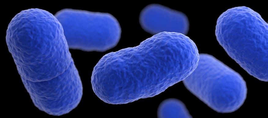 تفشي الليستيريا.. كيف تحمي نفسك من البكتيريا المميتة المنقولة بالغذاء