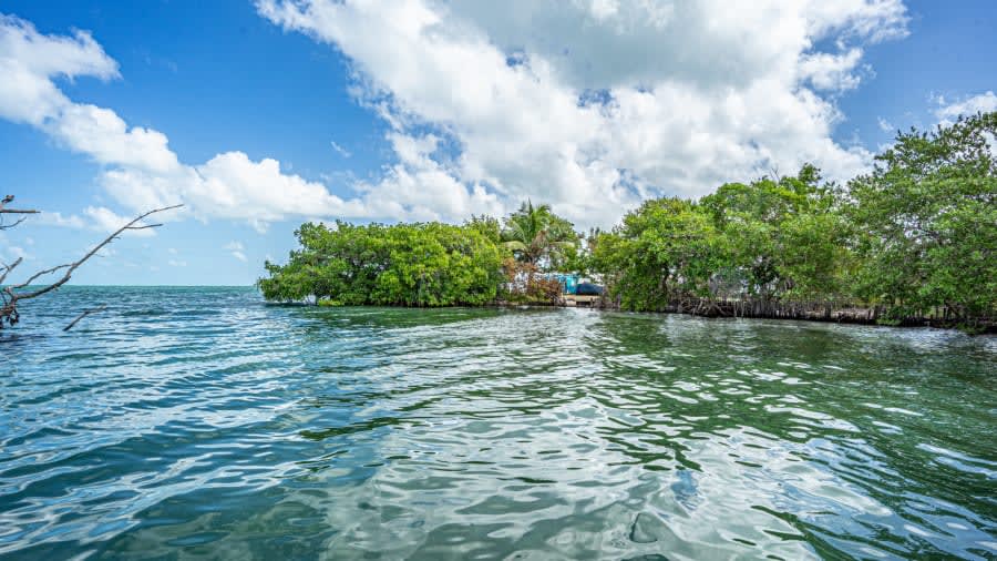 Investors buy an island to establish their own country for $180,000 207249