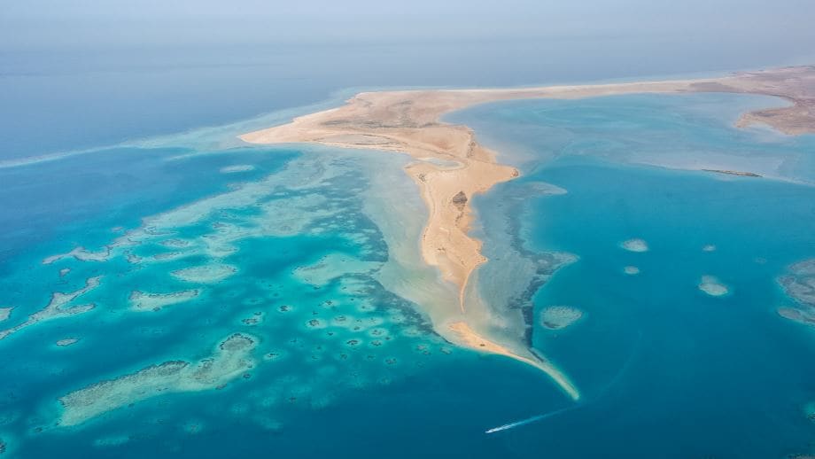 رابع أكبر حيد مرجاني في العالم - السعودية - البحر الأحمر - مشروع البحر الأحمر