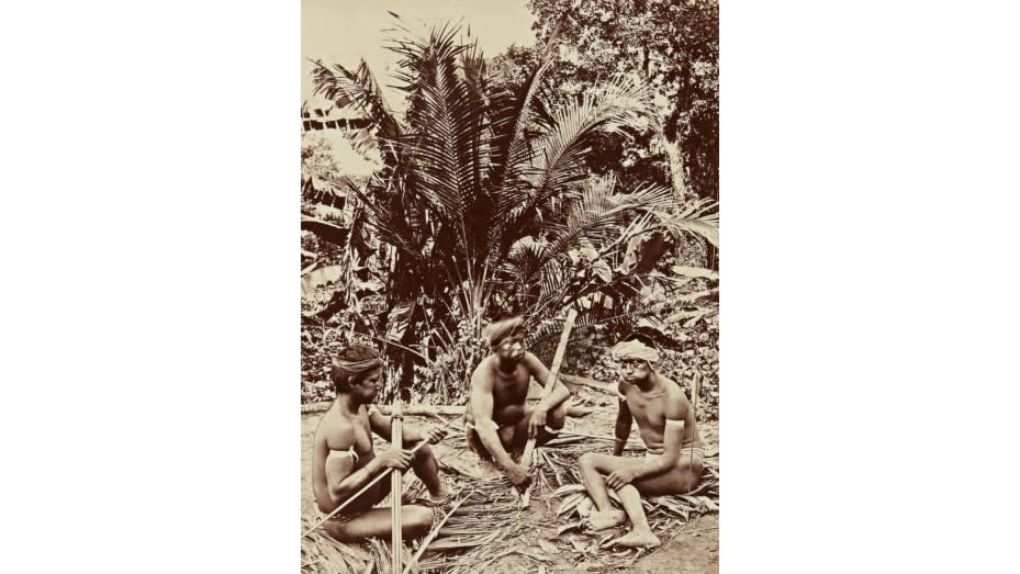 صور نادرة من القرن التاسع عشر تبين الماضي المزدهر لغابات الأمازون