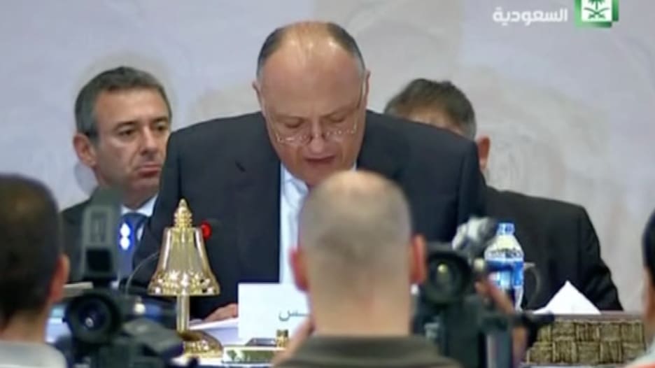 شكري: مصر ترتب للمشاركة في "عاصفة الحزم" جواً وبحراً وبراً