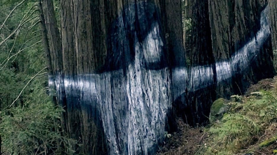جداريات سرية مذهلة في الغابات تبعث رسالة مخيفة حول تغير المناخ