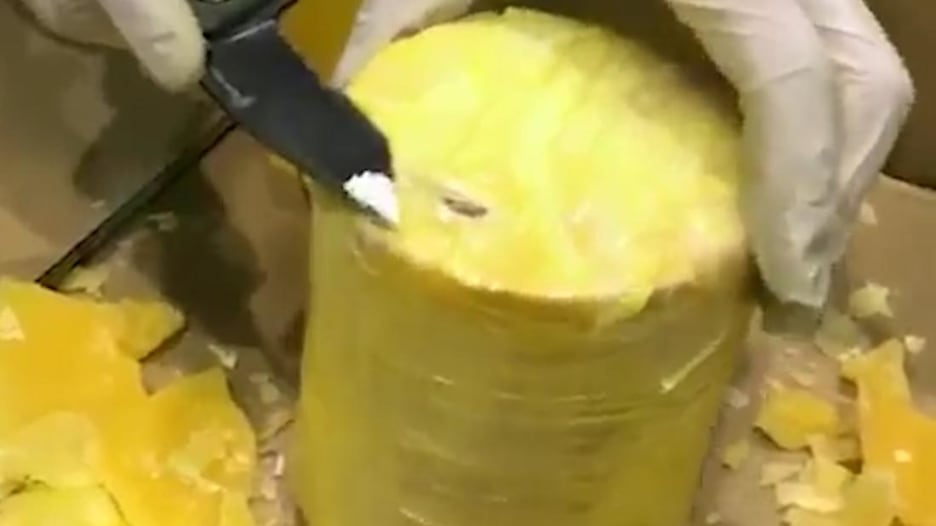 شاهد.. كيف خبأت عصابة مخدر الكوكايين في ثمار أناناس؟