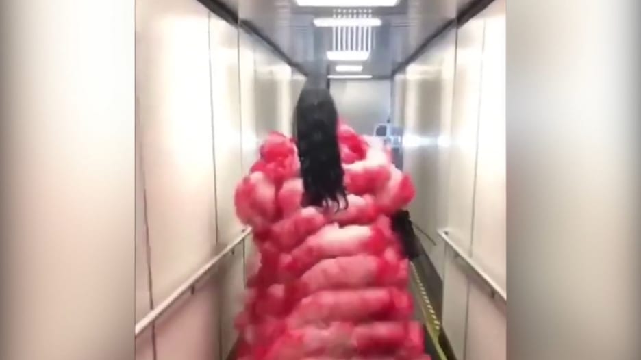 مغنية أمريكية تثير الدهشة بمعطف من الريش ارتدته في المطار