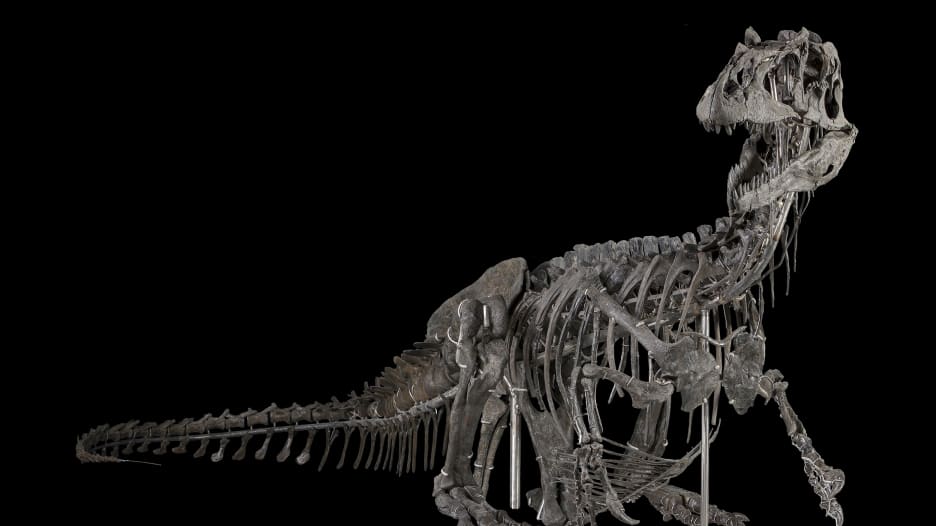 بعد غيابها.. الدينوصورات تعود إلى متحف "سميثسونيان"