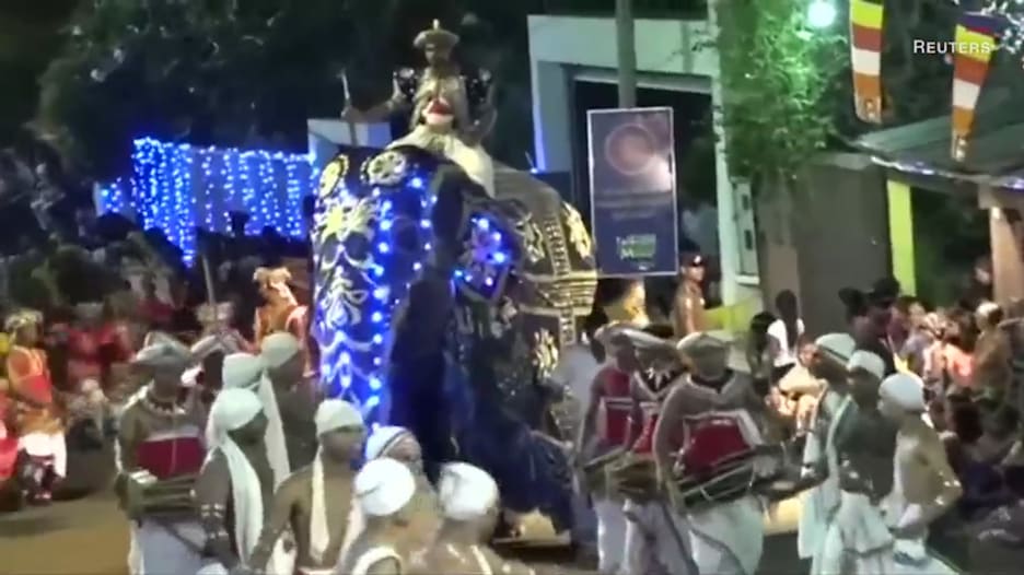 فيلان هائجان يدهسان العشرات في مهرجان بسريلانكا