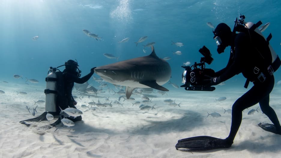 رجال لا يخشون التقاط الصور مع أسماك القرش تحت الماء.. هل تجرؤ؟