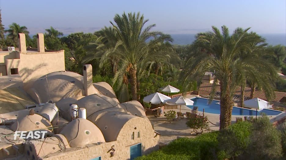 من بستان زيتون في مصر إلى منتجع في الفيوم يقدم البط والحمام "من المزرعة إلى الشوكة"