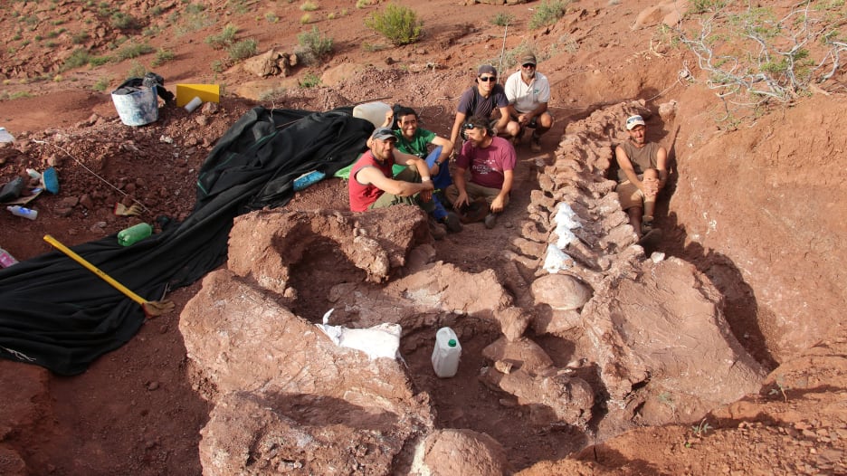 اكتشاف حفريات ديناصور عاش قبل 140 مليون عام في الأرجنتين