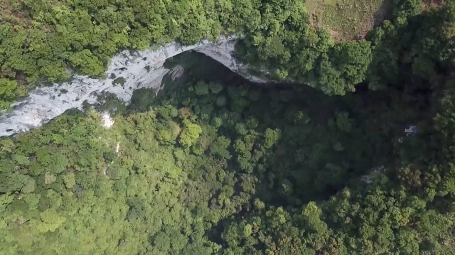 شاهد.. علماء يكتشفون غابة مخبأة داخل حفرة هائلة في الصين
