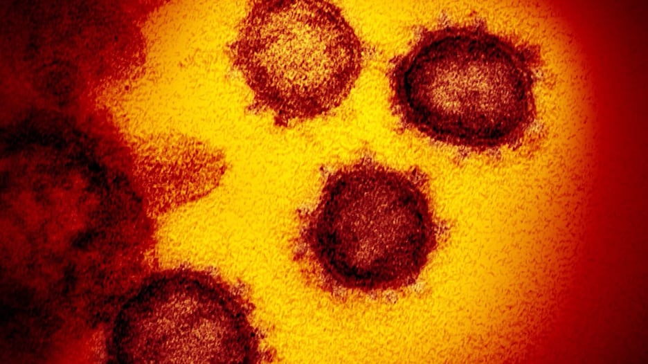 أبرز متحوّرات فيروس كورونا الجديدة والمنتشرة مع بداية العام الجديد.. ما هي؟