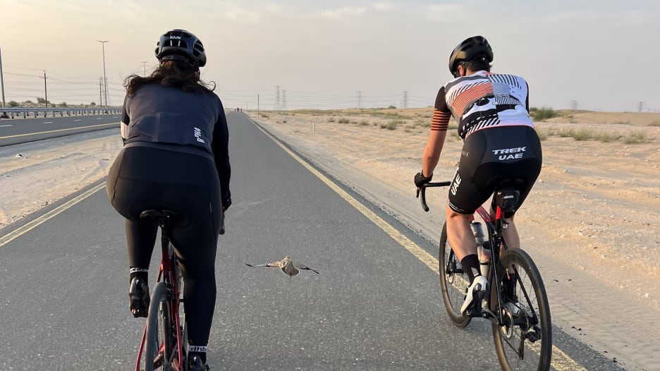 حوالي 40 دقيقة كاملة.. طائر "يتسابق" مع مجموعة درّاجين بصحراء القدرة بدبي