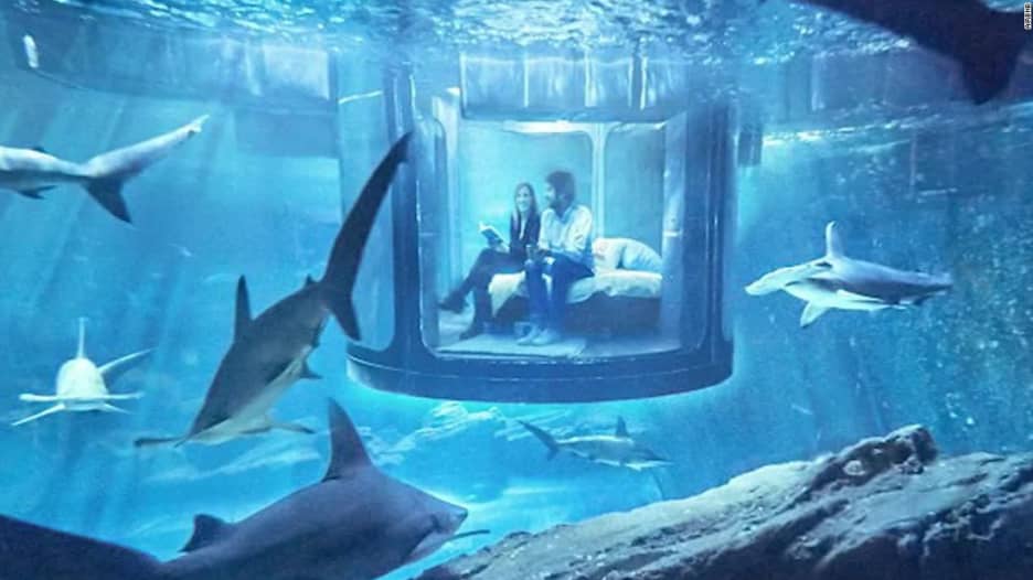 هل تحب تجربة أقصى أنواع المغامرة؟ جرّب هذه الغرفة للنوم وسط أسماك القرش