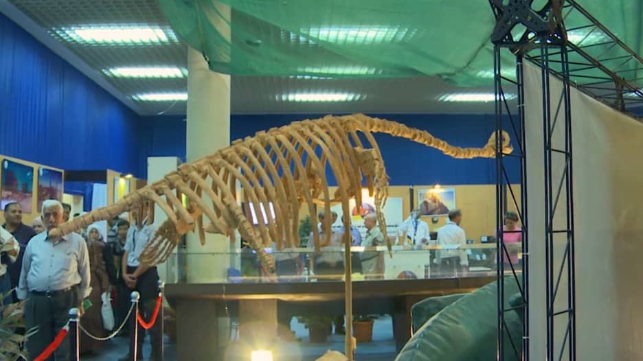 ماذا تعرفون عن الـ"بليزوصور"؟  شاهدوا ما تم اكتشافه في سوريا مؤخراً