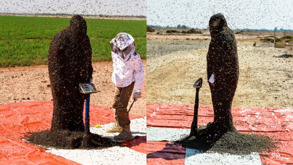 سعودي يغطي رأسه وجسمه بعباءة من النحل.. لدخول "غينيس"