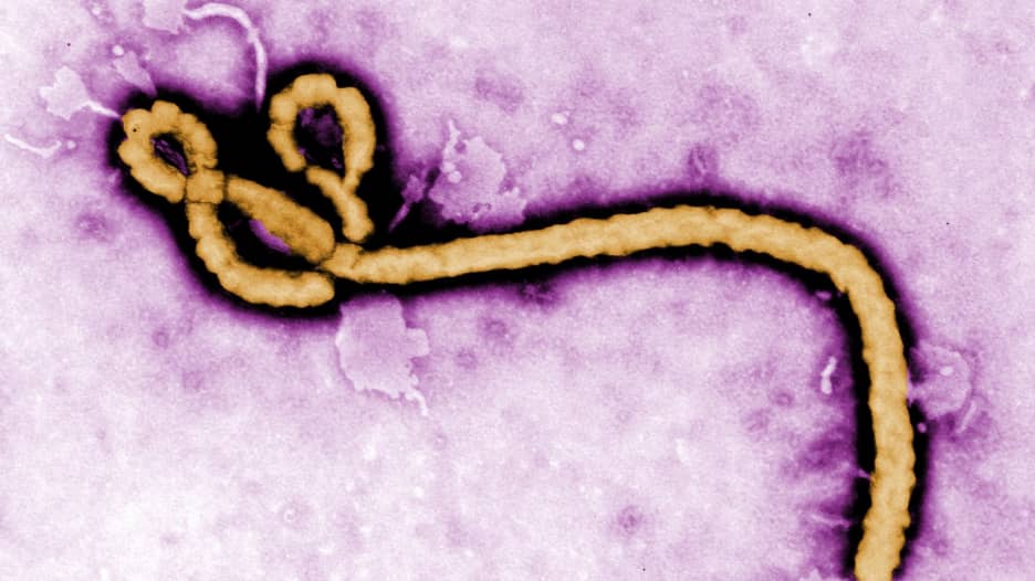 التحقيق بحالة اشتباه بفيروس إيبولا في أوروبا