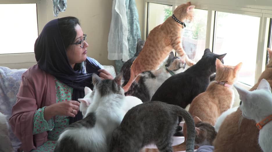 رغم إصابتها بالحساسية.. إماراتية تجد هدف حياتها عبر اعتنائها بـ100 قطة