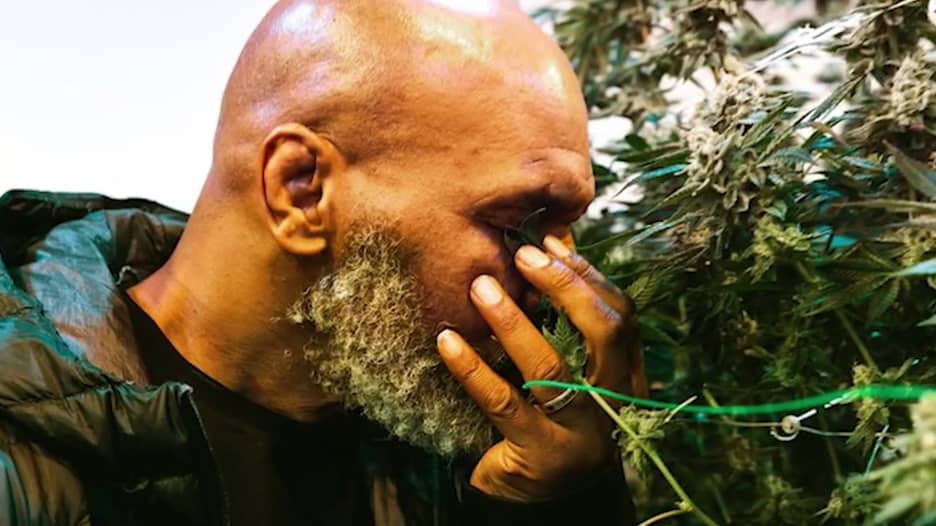 تايسون يكشف عن تدخين 10 أطنان من الماريجوانا في مزرعته شهريا
