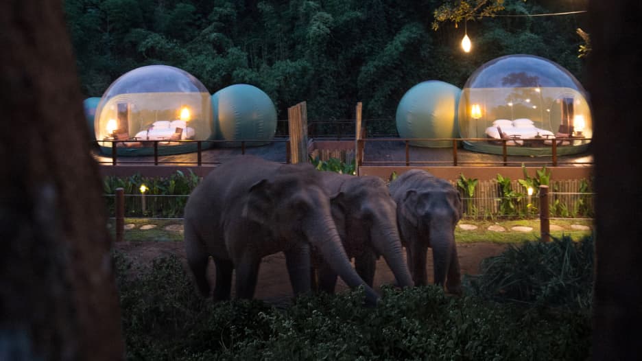 منتجع يتيح لك الفرصة لقضاء ليلة في فقاعة بجانب الفيلة في تايلاند