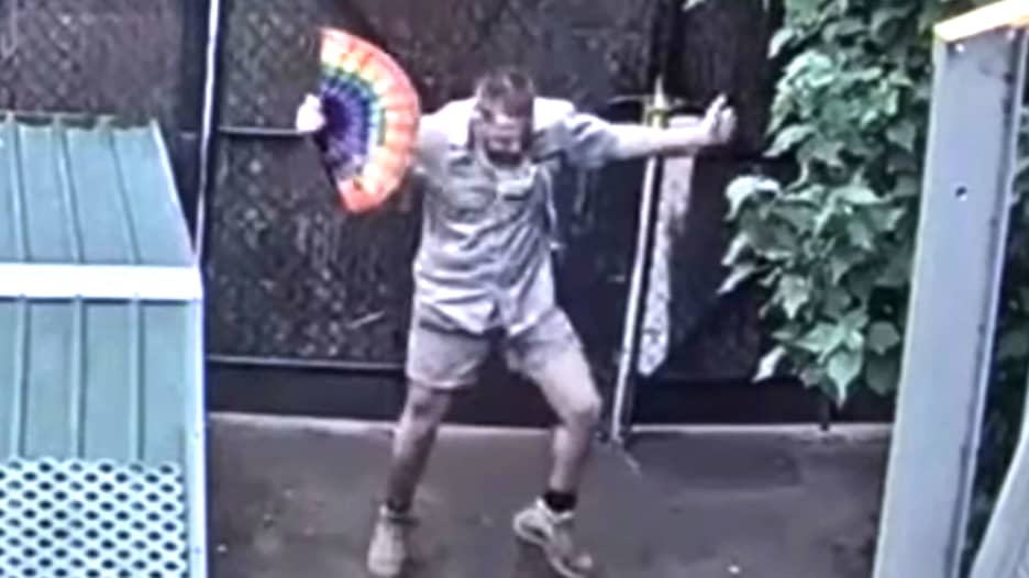 فيديو لرقصة حارس حديقة حيوانات في ظل جائحة فيروس كورونا يجتاح الانترنت