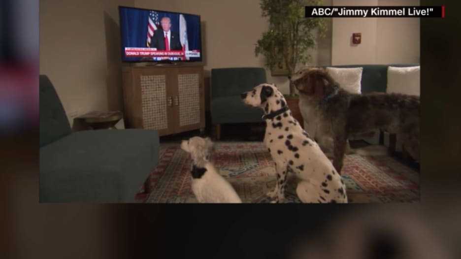 شاهد ما فعلته 3 كلاب عندما سمعت ترامب يطلب من صحفي الجلوس
