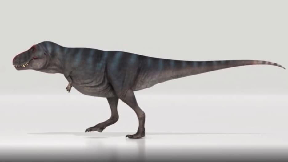 "تي ركس" كان يسير بسرعة البشر.. مفاجأة بشأن حركة الديناصور العملاق