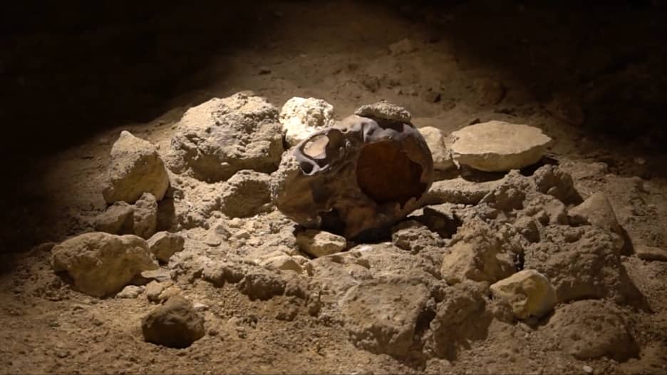 يُعتقد أنهم لقوا حتفهم بسبب الضباع.. اكتشاف بقايا إنسان نياندرتال بإيطاليا تعود لعشرات الآلاف من الأعوام