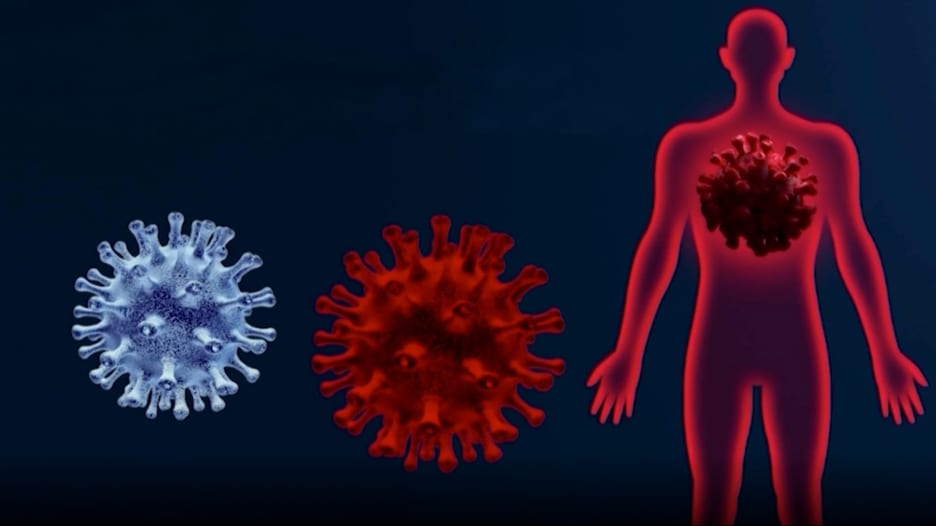 ما هي أوجه الاختلاف بين متغير دلتا ومتغير ألفا لفيروس كورونا وأيهما أكثر خطورة؟