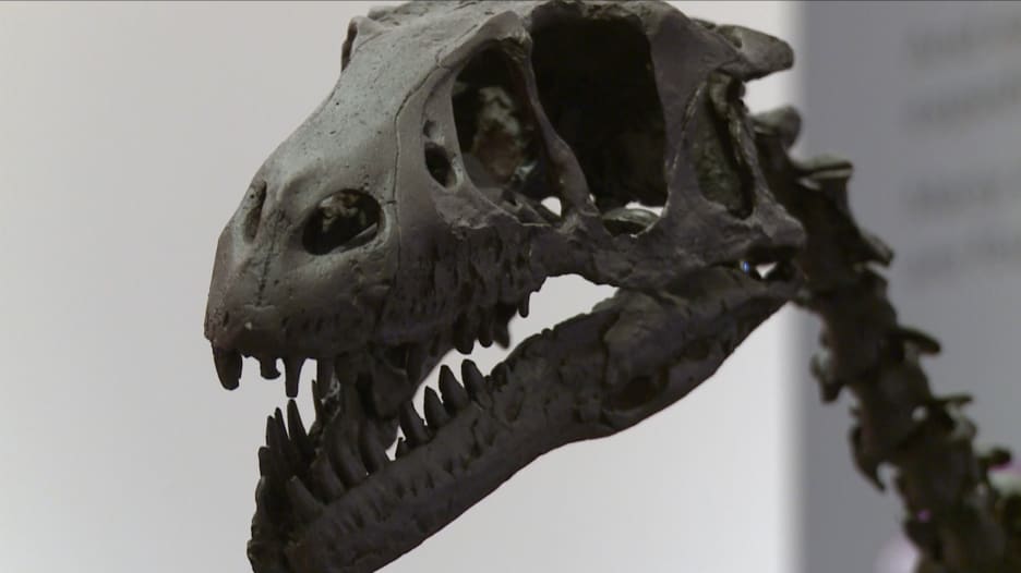 هل عاش تيرانوصور بأبرد مكان بوجه الأرض؟ علماء يثبتون عيش الديناصورات بالقطب الشمالي