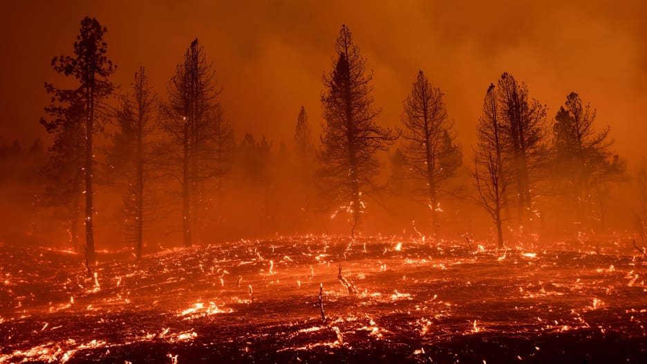 أمريكا تشهد أسوأ موسم حرائق غابات منذ عقد وتتجاوز أرقام 2020 القياسية