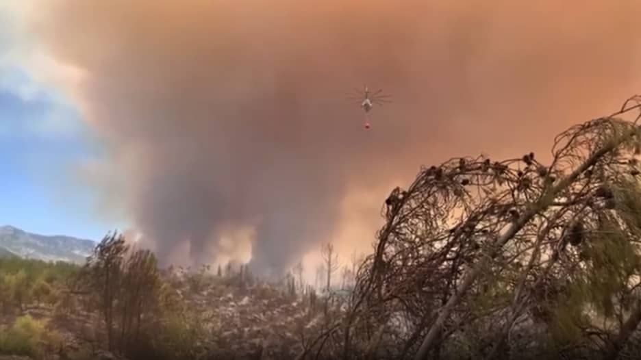 كاميرا CNN ترصد حرائق الغابات الهائلة التي تجتاح مناطق في تركيا
