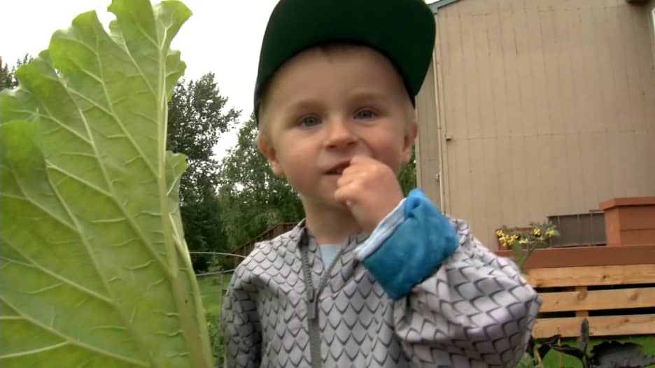 انتشرت مقاطعه بشكل كبير على "تيك توك".. طفل يكسب حب المتابعين لشغفه بالخضروات