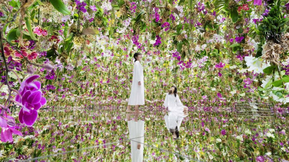 شاهد.. حديقة زهور "عائمة" مليئة بـ 13000 زهرة أوركيد حية في طوكيو
