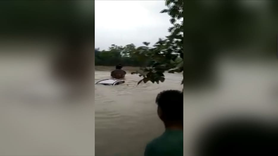 عملية إنقاذ غير مسبوقة.. شاهد فيلًا يسحب سيارة غارقة في الهند