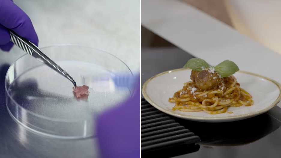 " نزرع أعضاء الحيوان التي نرغب بتناولها".. شاهد كيف تصنّع اللحوم في المختبر