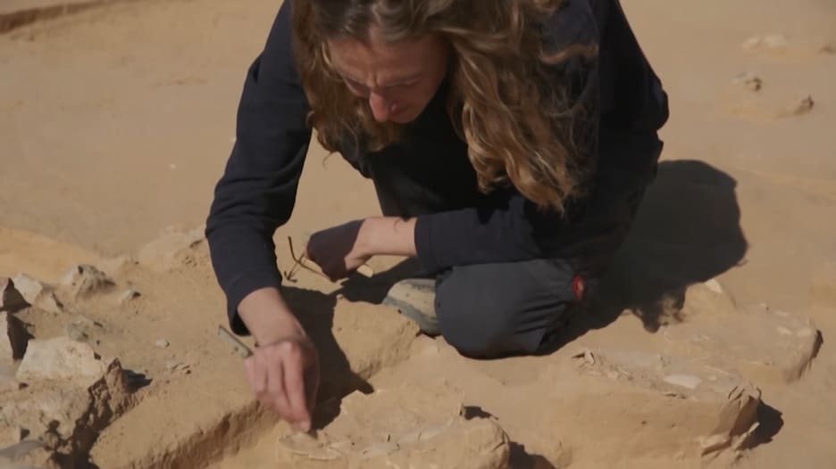 عمرها 4 آلاف عام.. اكتشاف 8 بيضات لطير النعام بالقرب من صحراء النقب في إسرائيل