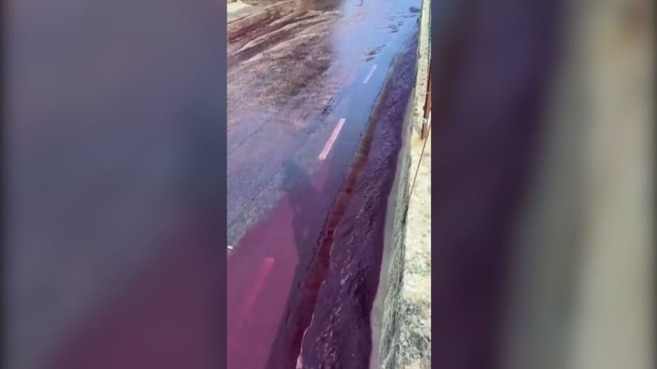 فيضان من النبيذ الأحمر.. شاهد ما حدث بعدما انفجر خزانا خمر ببلدة برتغالية