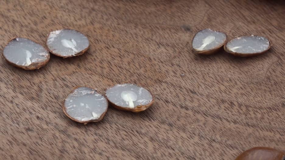 المزارعون يستخدمون بذور الفواكه للتنبؤ بحالة الطقس لفصل الشتاء القادم.. كيف يفعلون ذلك؟