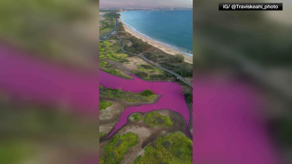 ظاهرة "خيالية غير متوقعة".. شاهد مياه جزيرة ماوي تكتسي باللون الأرجواني الساطع