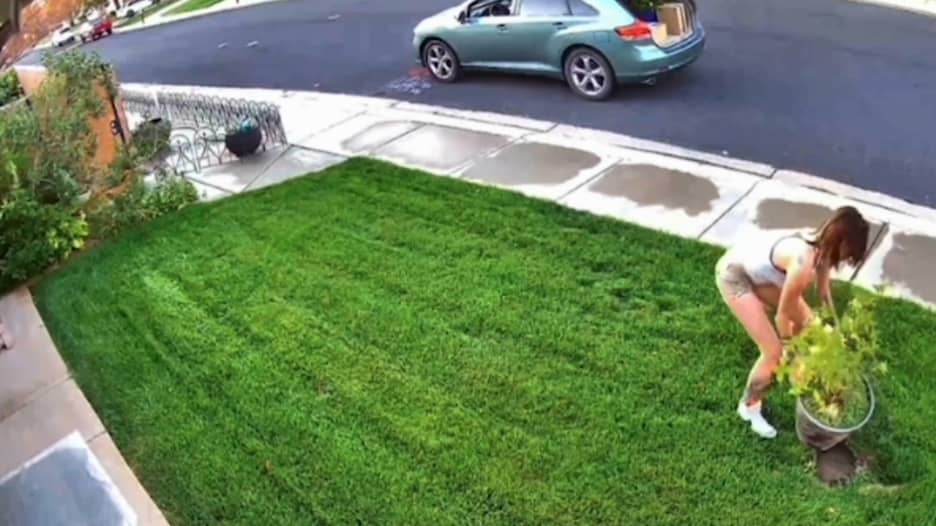 حادثة “صادمة”.. عائلة تستعيد شجيرة عزيزة عليها سرقها موظفي أمازون من أمام منزلها