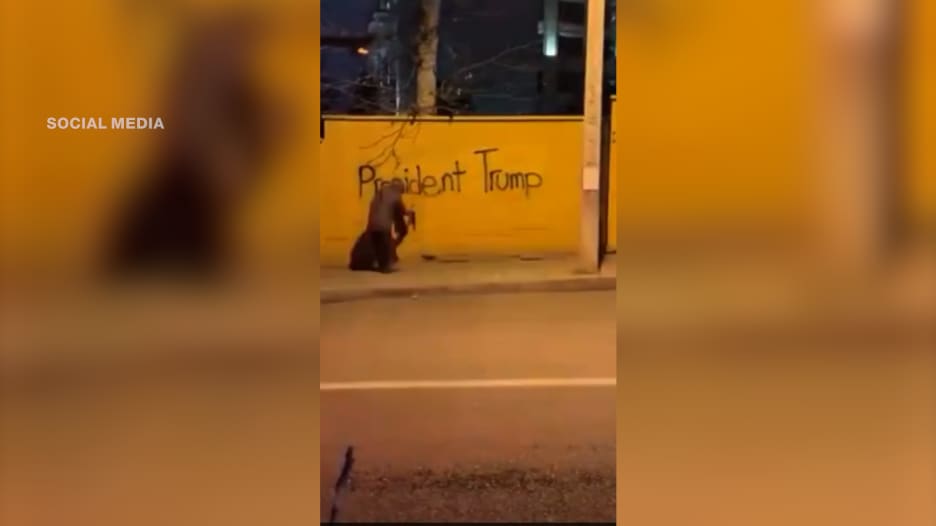 فيديو يظهر سيدة إيرانية توجه رسالة استغاثة لترامب.. ماذا قالت؟