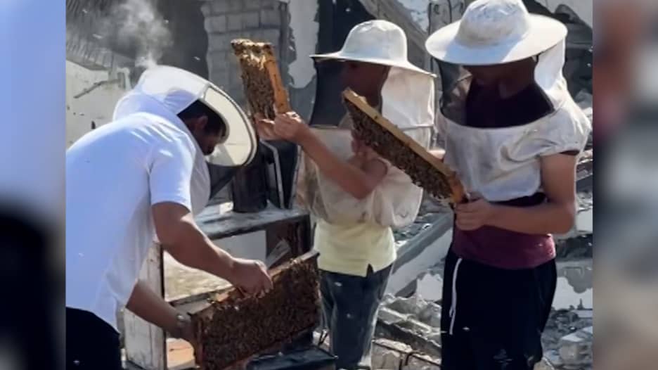 شاهد ما يواجهه مربّو النحل في غزة بظل استمرار معاناة القطاع وسط القيود الإسرائيلية