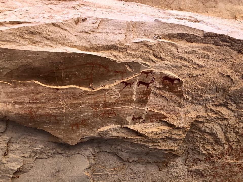 العثور على نقوش أثرية عمرها 10000 عام 